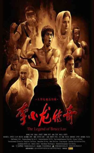 Bruce Lee la mémoire du dragon