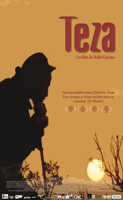 Teza (2010)