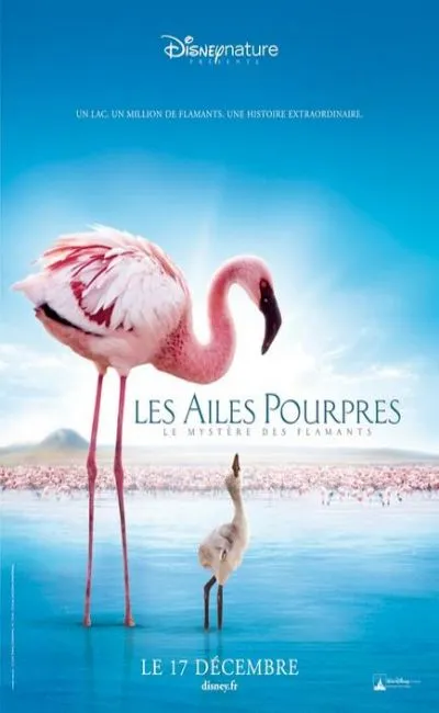 Les ailes pourpres : le mystère des flamants (2008)