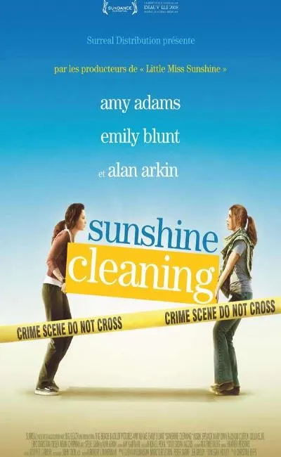 Sunshine cleaning (2009)