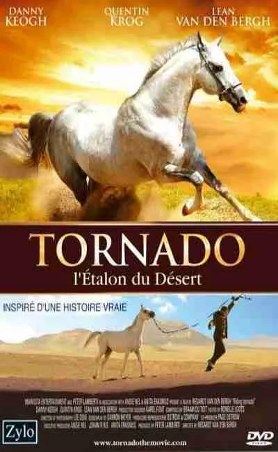 Tornado l'étalon du désert