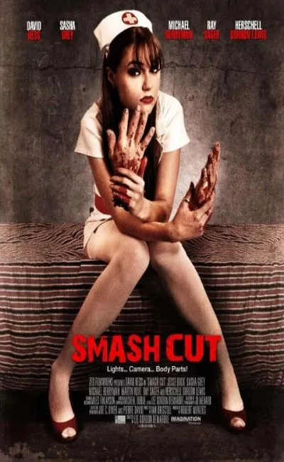 Smash cut (2010)