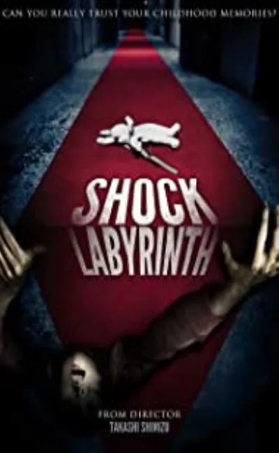 Le labyrinthe de choc (2011)