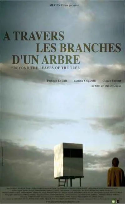 A travers les branches d'un arbre