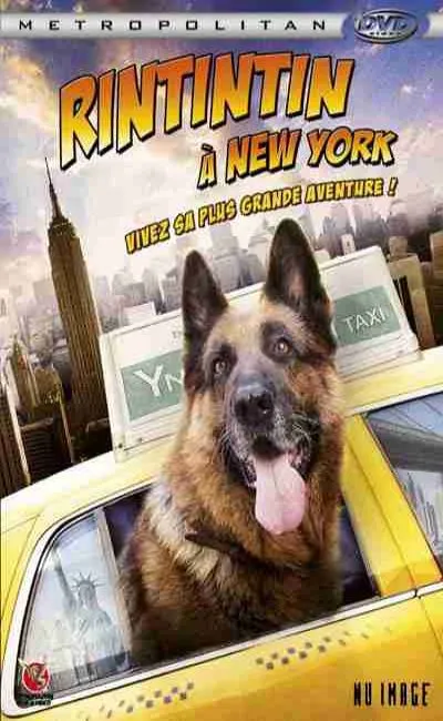 Rintintin à New York