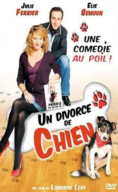 Un divorce de chien