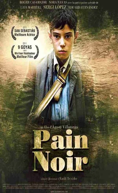 Pain noir