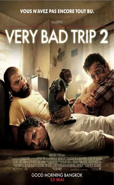 Very bad Trip 2 (2011)