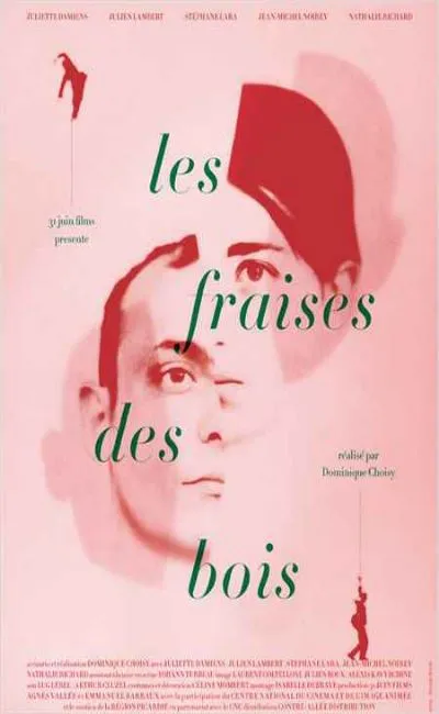 Les fraises des bois (2012)