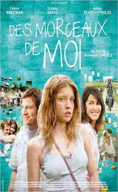 Mes morceaux de moi (2013)