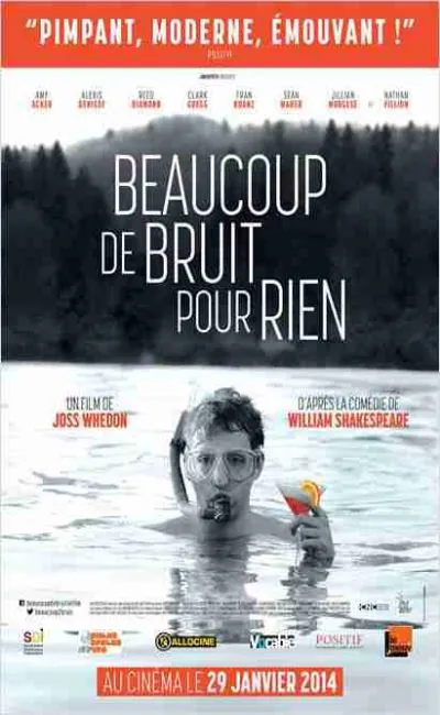 Beaucoup de bruit pour rien (2014)