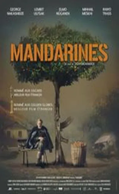 Mandarines