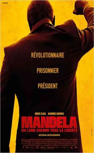 Mandela : Un long chemin vers la liberté (2013)