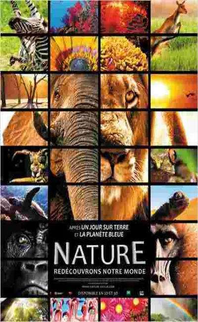 Nature (2014)