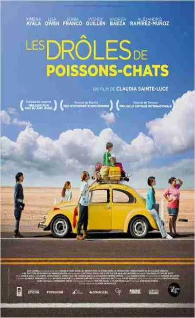 Les drôles de poissons-chats