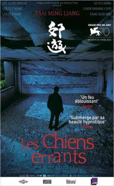 Les chiens errants (2014)