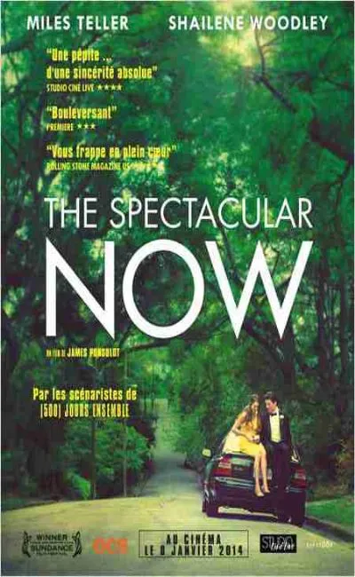 The spectacular now (2014)