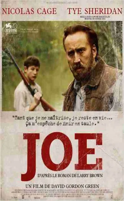 Joe (2014)