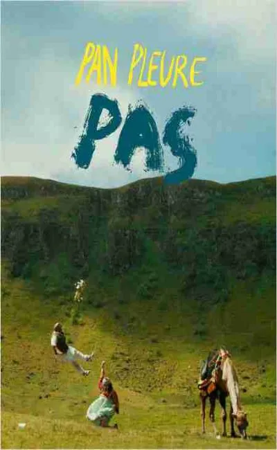 Pan pleure pas (2014)