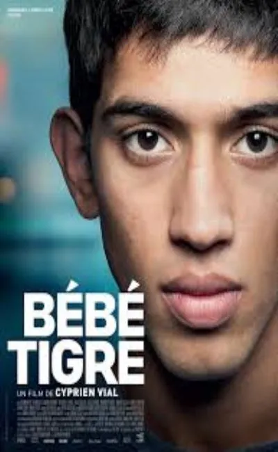 Bébé Tigre (2015)