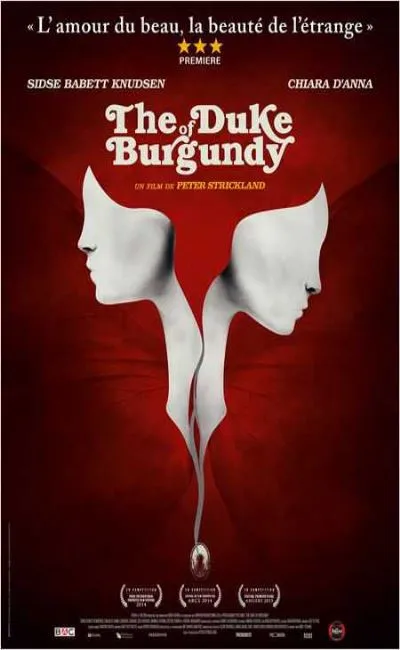 The Duke of Burgundy (2015)