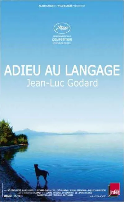 Adieu au Langage (2014)