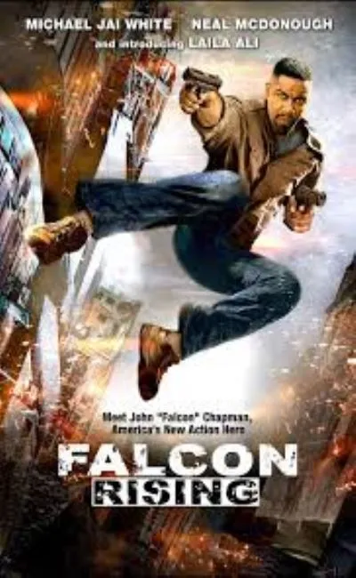 Falcon rising