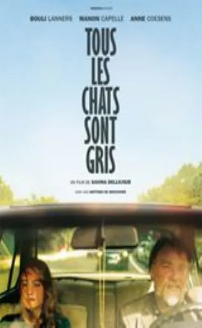 Tous les chats sont gris (2016)