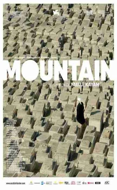 Mountain (2017)