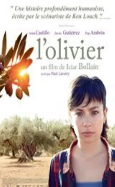 L'olivier (2016)