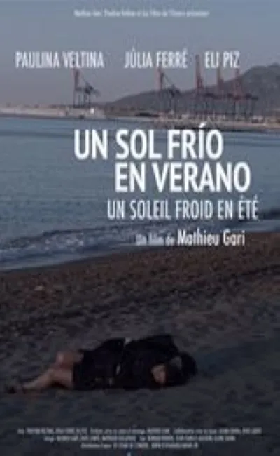 Un soleil froid en été (2016)