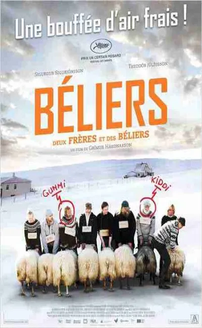 Béliers