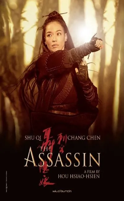 The assassin (2016)