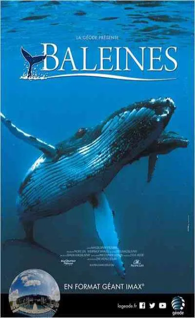 Baleines (2015)