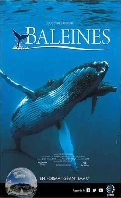 Baleines