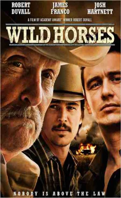 Wild horses (2015)