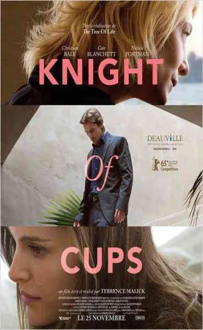 Knight of cups