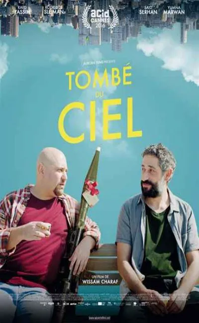 Tombé du ciel (2017)