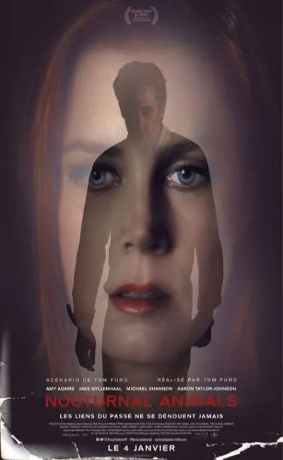 Nocturnal animals (2017)