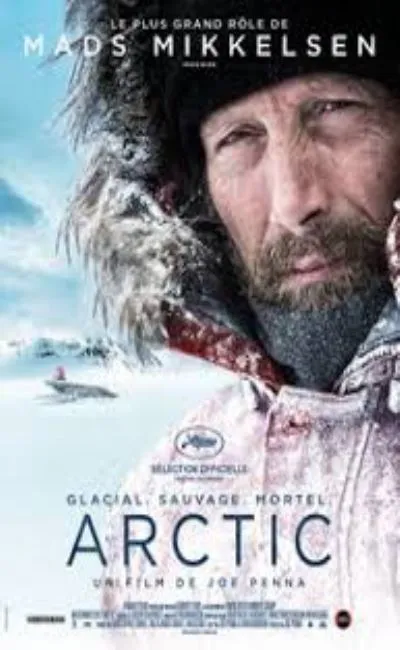 Arctic (2019)