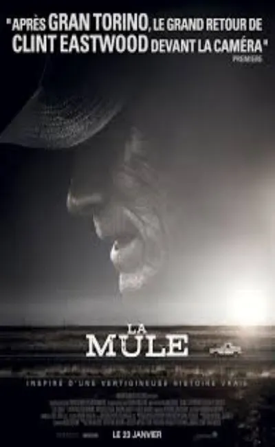 La mule