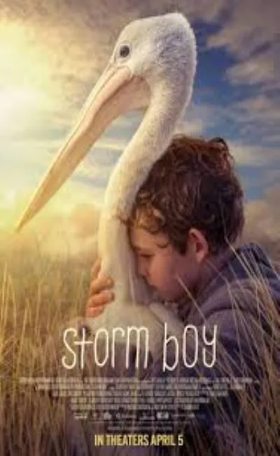 Storm boy