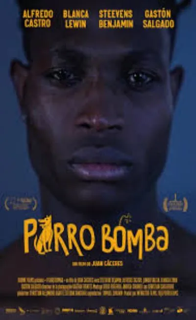 Perro Bomba (2020)