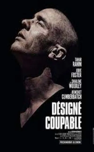 Désigné coupable (2021)