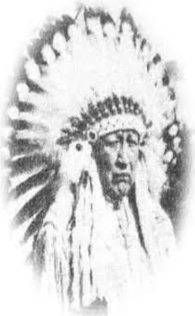 Chief Thunderbird