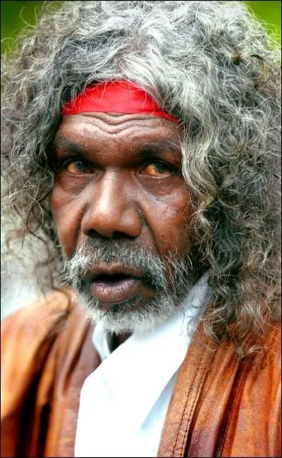 David Gulpilil